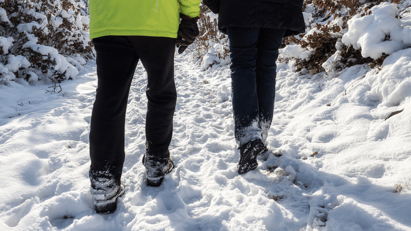 Signup page background